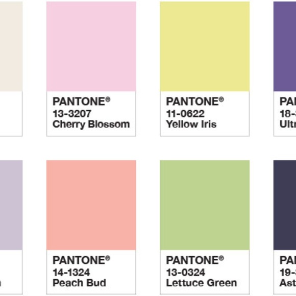 Meet your Posher, Sandra - Picture 5 of 6